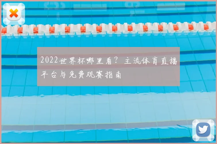 2022世界杯哪里看？主流体育直播平台与免费观赛指南