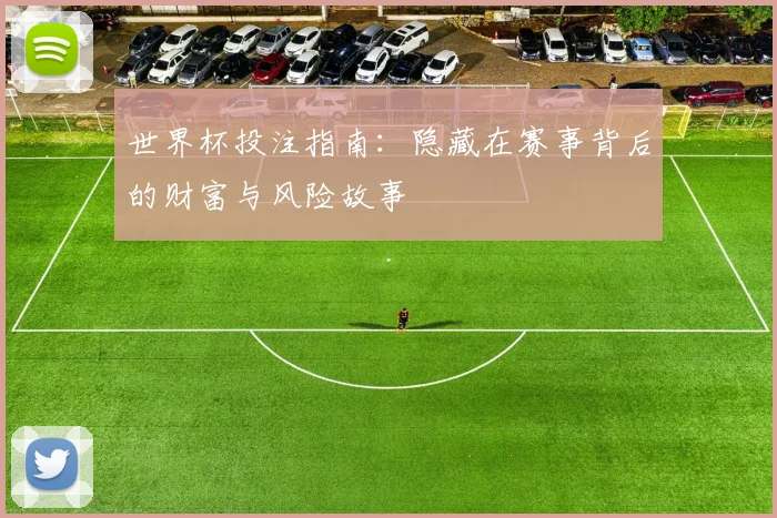 世界杯投注指南:隐藏在赛事背后的财富与风险故事
