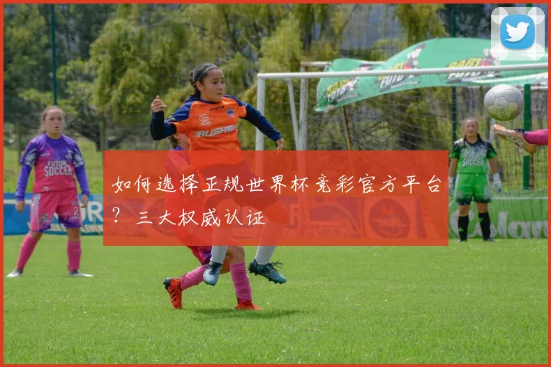 如何选择正规世界杯竞彩官方平台？三大权威认证