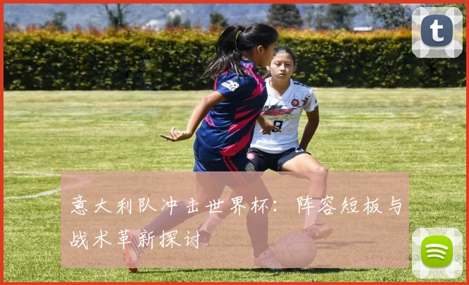 意大利队冲击世界杯:阵容短板与战术革新探讨